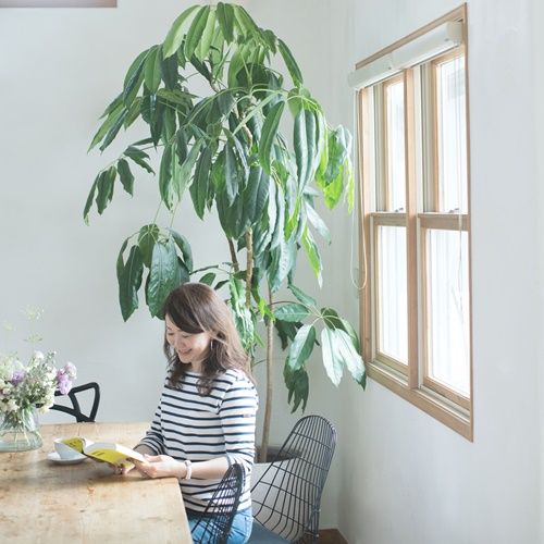 Người trung niên mua nhà: Tầng 5 hay tầng 25 giúp sống tiện hơn - tiết kiệm hơn?- Ảnh 2. Người trung niên mua nhà: Tầng 5 hay tầng 25 giúp sống tiện hơn - tiết kiệm hơn?- Ảnh 2.