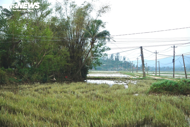 Chỉ kịp cứu chính mình, người đàn ông day dứt khi mất 3 người thân trong lũ- Ảnh 7.