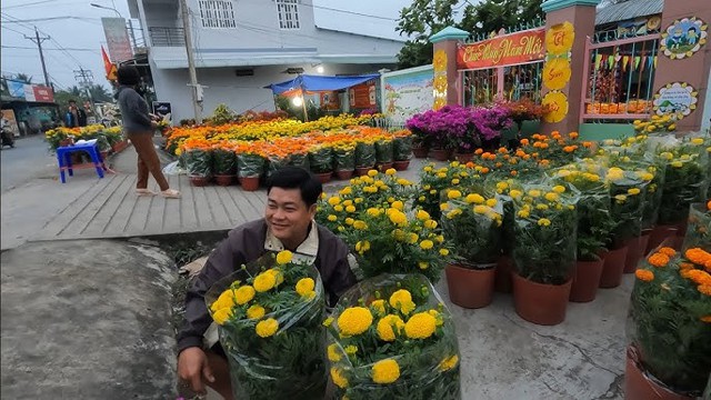 Người Trung Quốc thường trồng cây này trước cửa để ngăn rắn vào nhà: Người Việt thường mua chơi Tết- Ảnh 3.