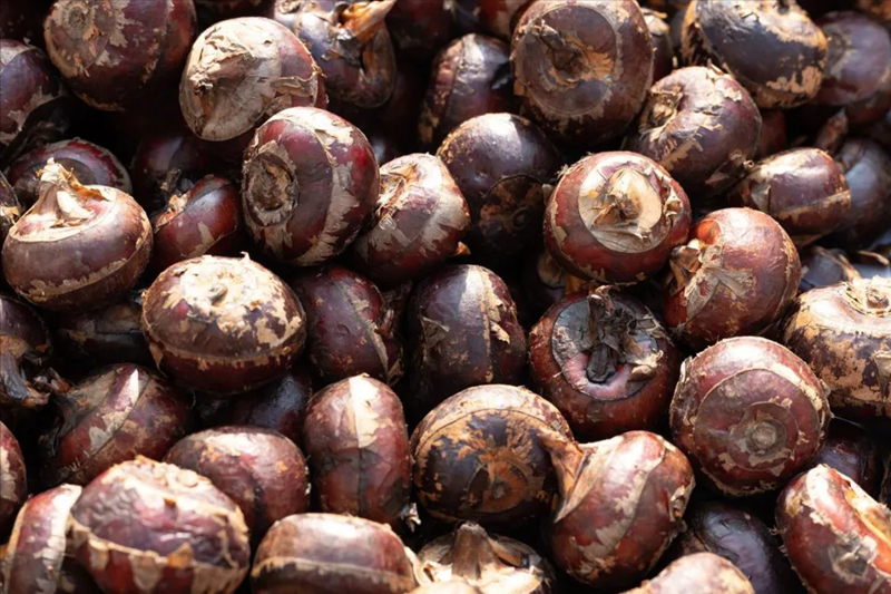 3 loại rau "nhiều ký sinh trùng nhất chợ" mùa này, thơm ngon, đói bụng mấy cũng chờ chín hẵng ăn- Ảnh 1.