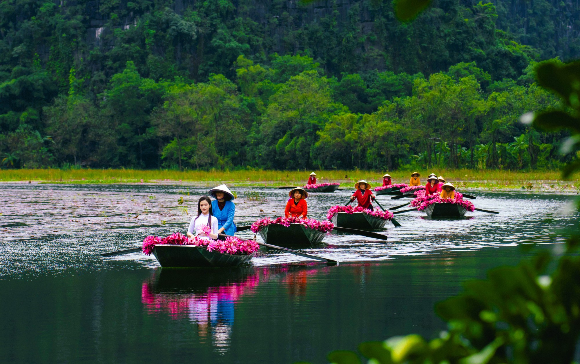 Tam Cốc ngọt lịm mùa hoa súng- Ảnh 2.