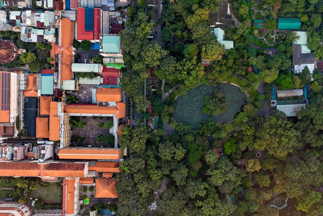 Từng là bệnh viện, ngôi trường này giờ siêu hot tại TP.HCM: Kiến trúc đẹp miễn chê, giơ máy lên là có ảnh đẹp- Ảnh 8.