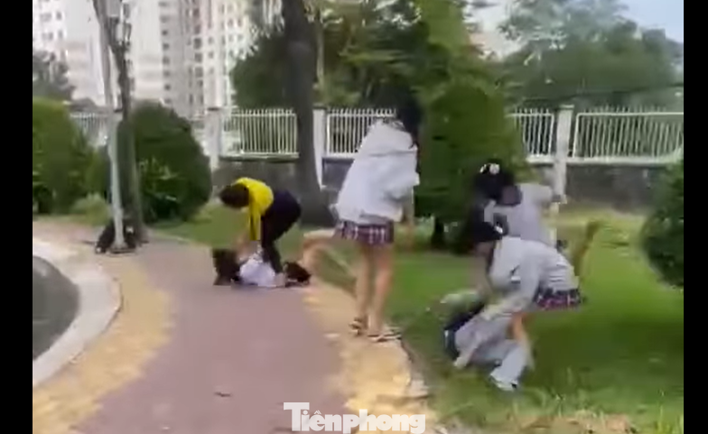 Nữ sinh TPHCM bị đánh hội đồng, phải nhập viện sau giờ tan học- Ảnh 1.