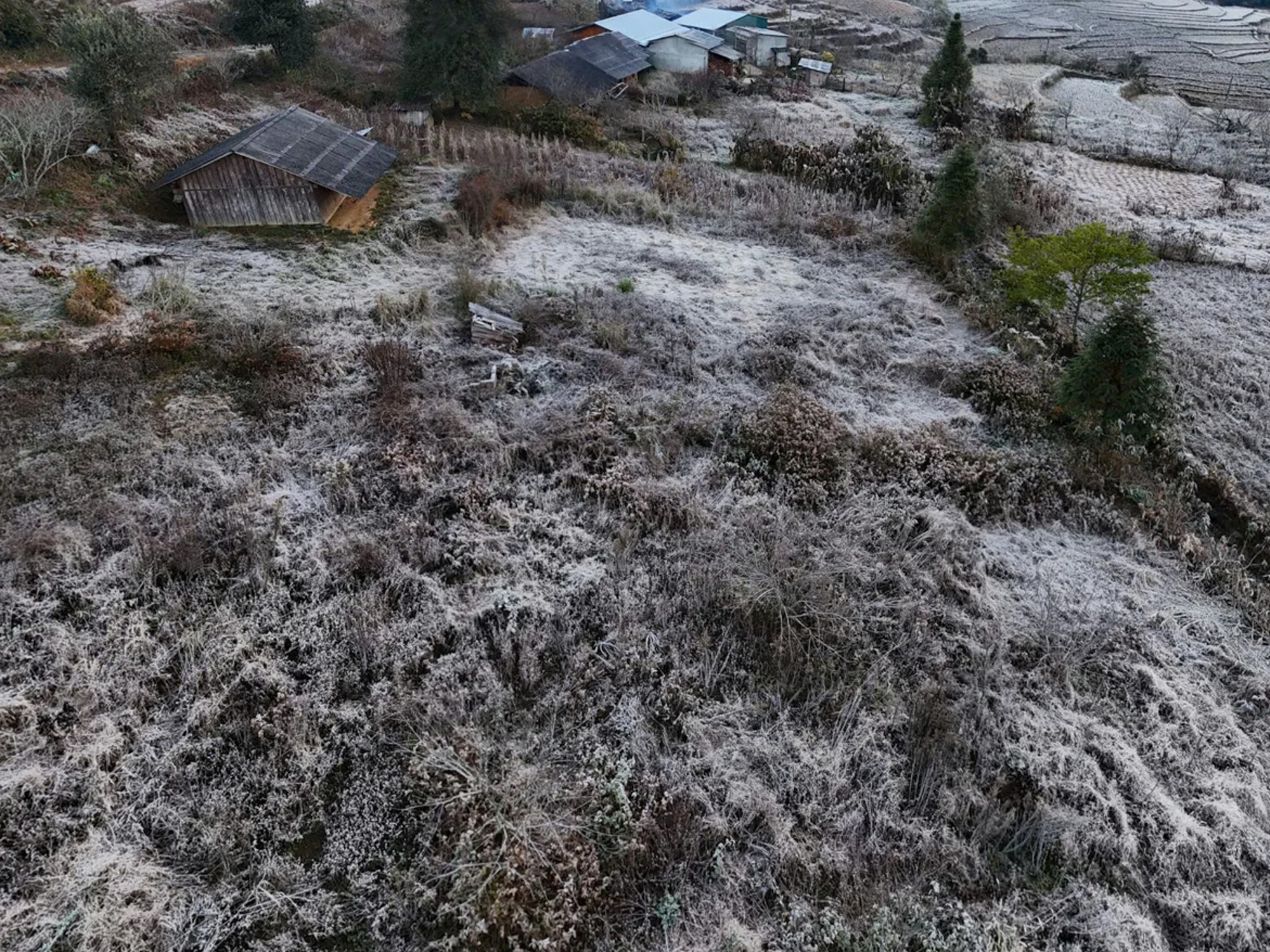 Lào Cai: Băng giá trắng xóa 'bao phủ' bản làng ở Y Tý- Ảnh 10.