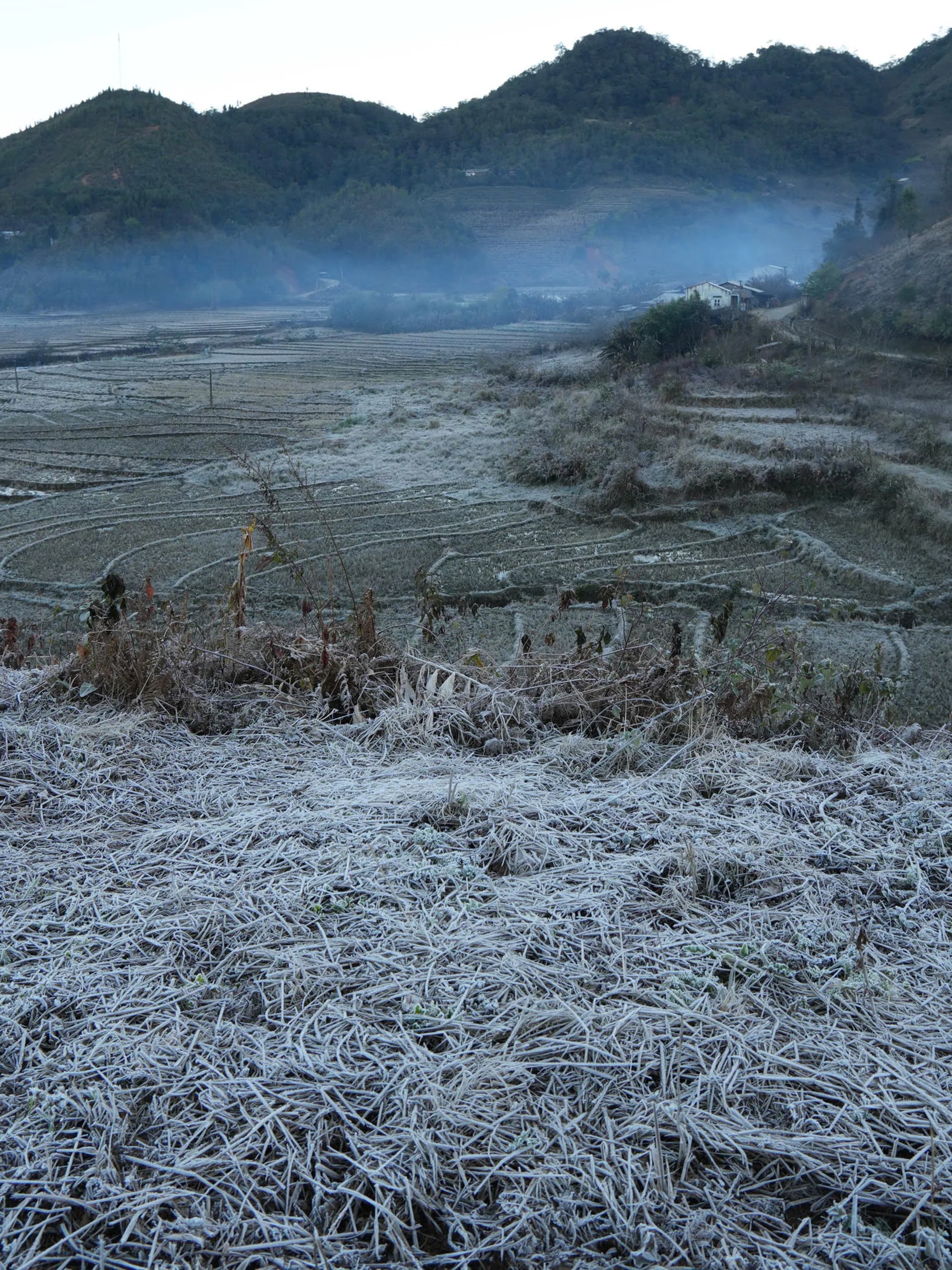 Lào Cai: Băng giá trắng xóa 'bao phủ' bản làng ở Y Tý- Ảnh 2.