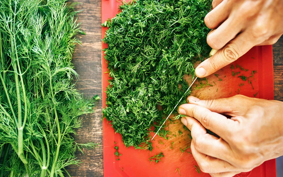 Thì là - loại rau "nhỏ nhưng có võ’ với những lợi ích sức khỏe bất ngờ- Ảnh 2.