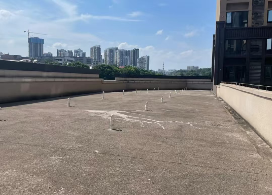 Mua căn hộ tầng hai có sân thượng tưởng trúng số, nhưng khi chuyển đến tôi mới biết đó là khởi đầu của chuỗi ngày “ác mộng”- Ảnh 3.