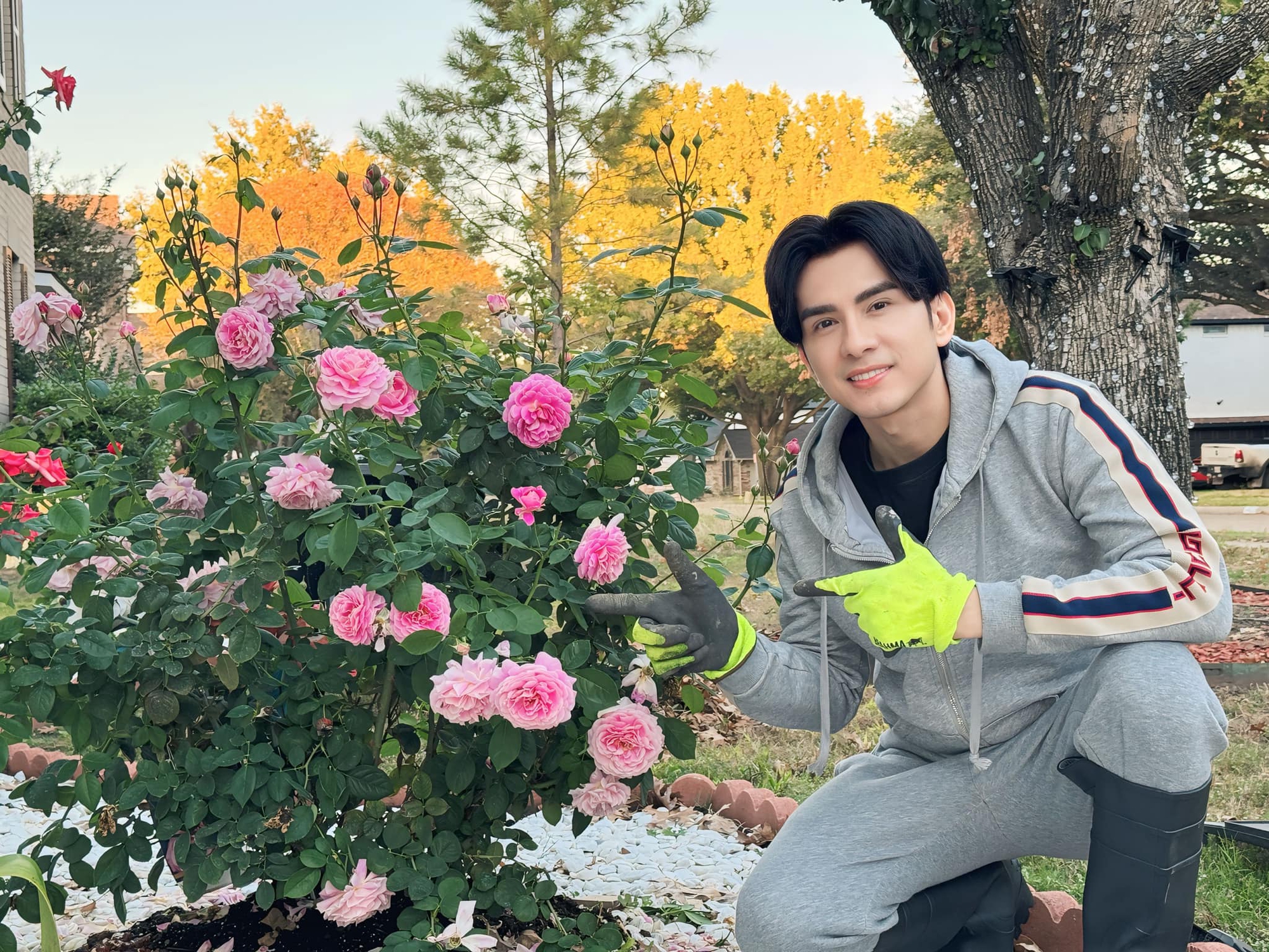 Toàn cảnh bất động sản của  Toàn cảnh bất động sản của