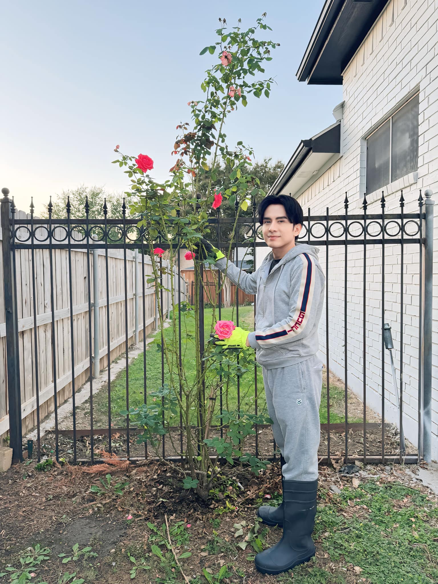 Toàn cảnh bất động sản của  Toàn cảnh bất động sản của