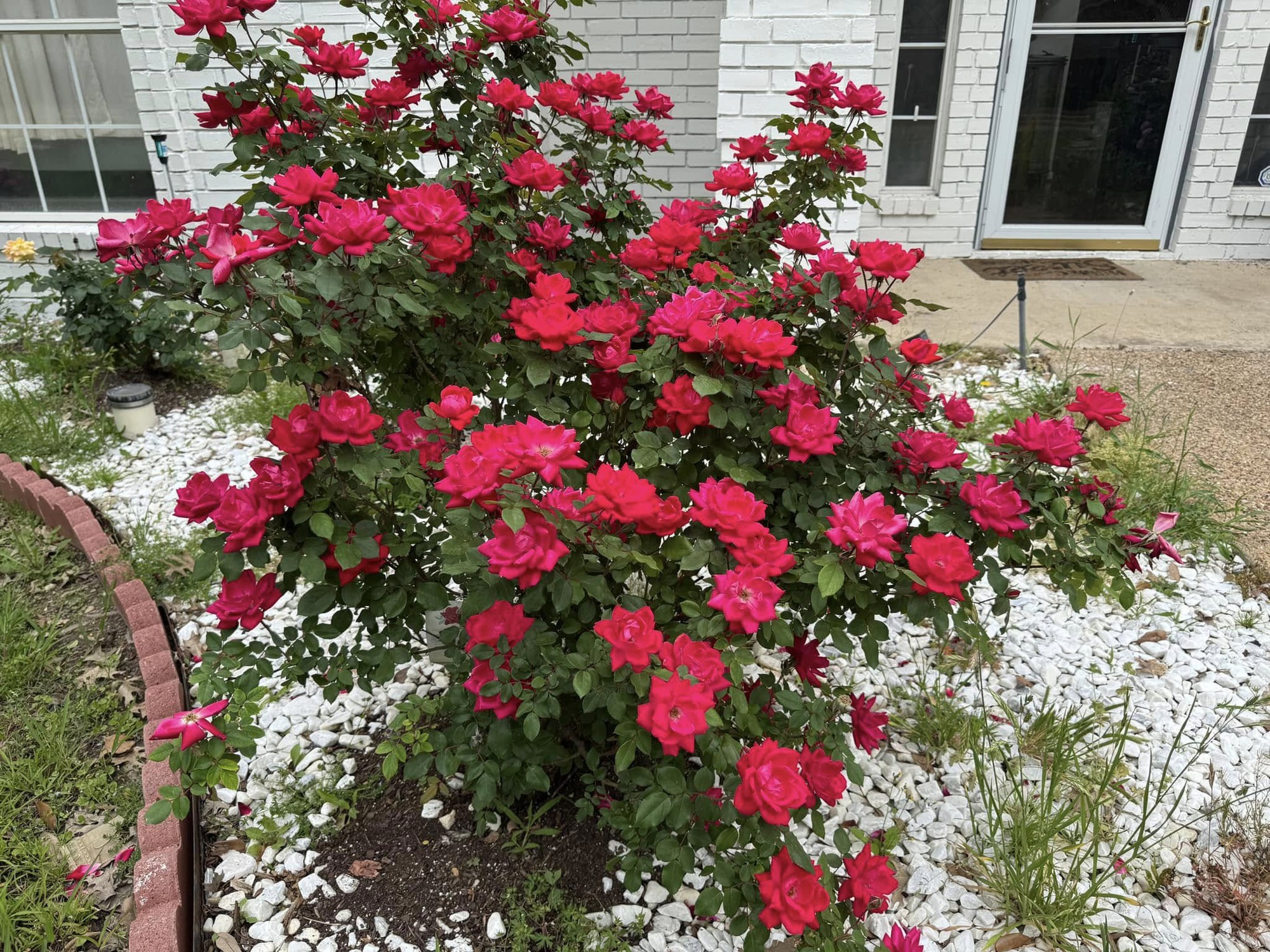 Toàn cảnh bất động sản của  Toàn cảnh bất động sản của