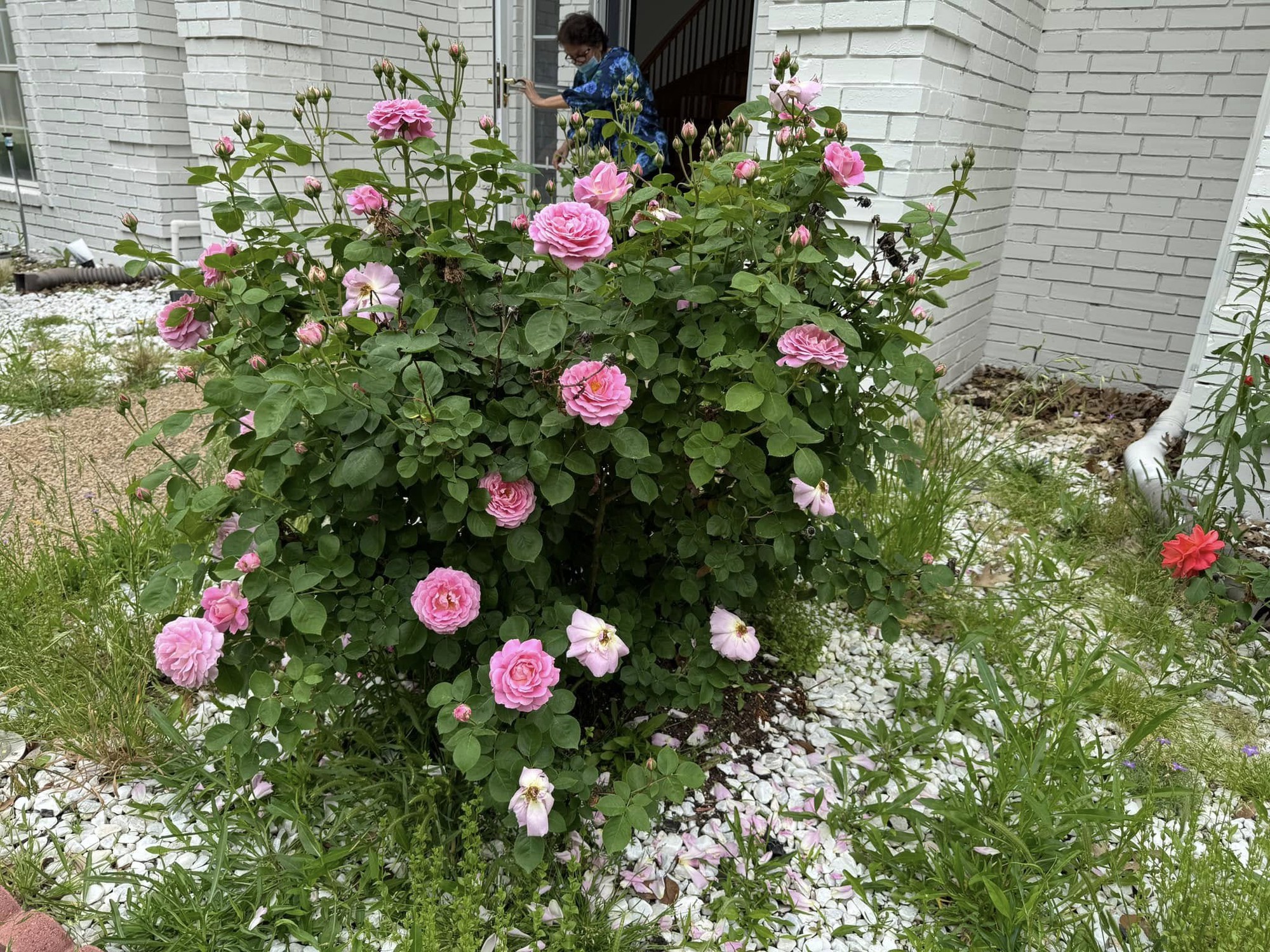 Toàn cảnh bất động sản của  Toàn cảnh bất động sản của