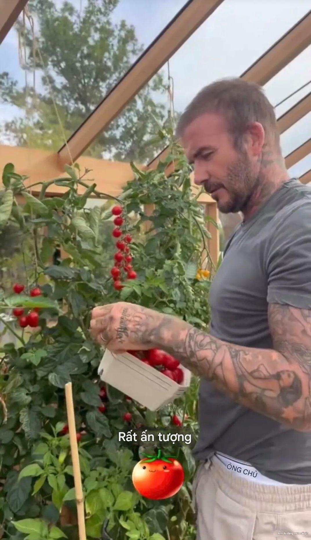 Cảnh tượng khó tin: David Beckham 