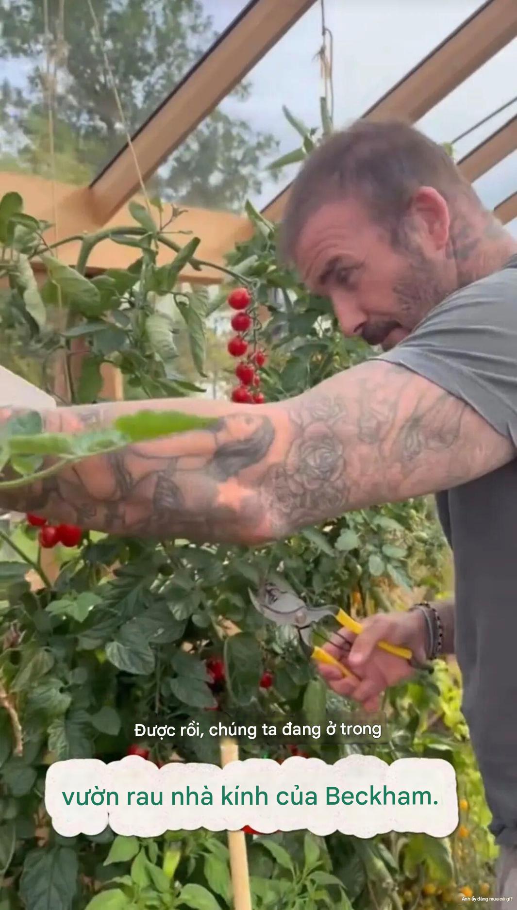 Cảnh tượng khó tin: David Beckham 