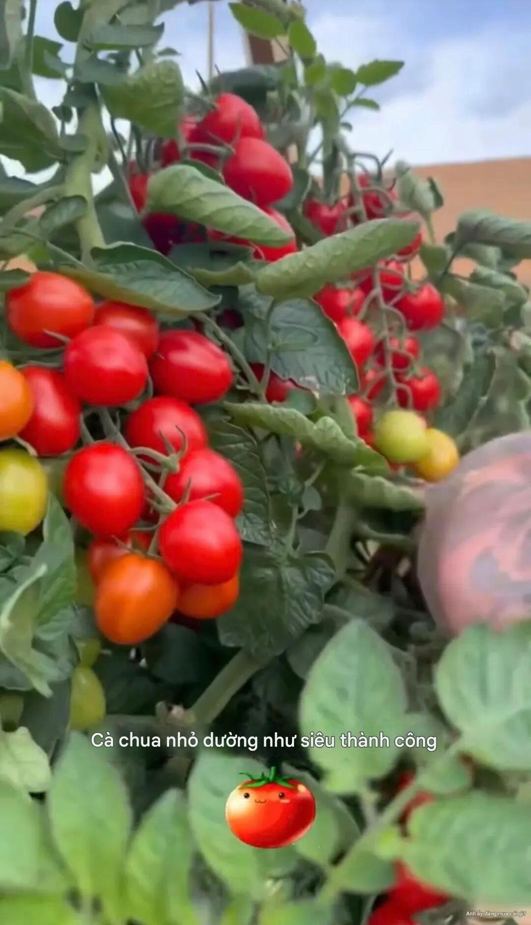 Cảnh tượng khó tin: David Beckham 