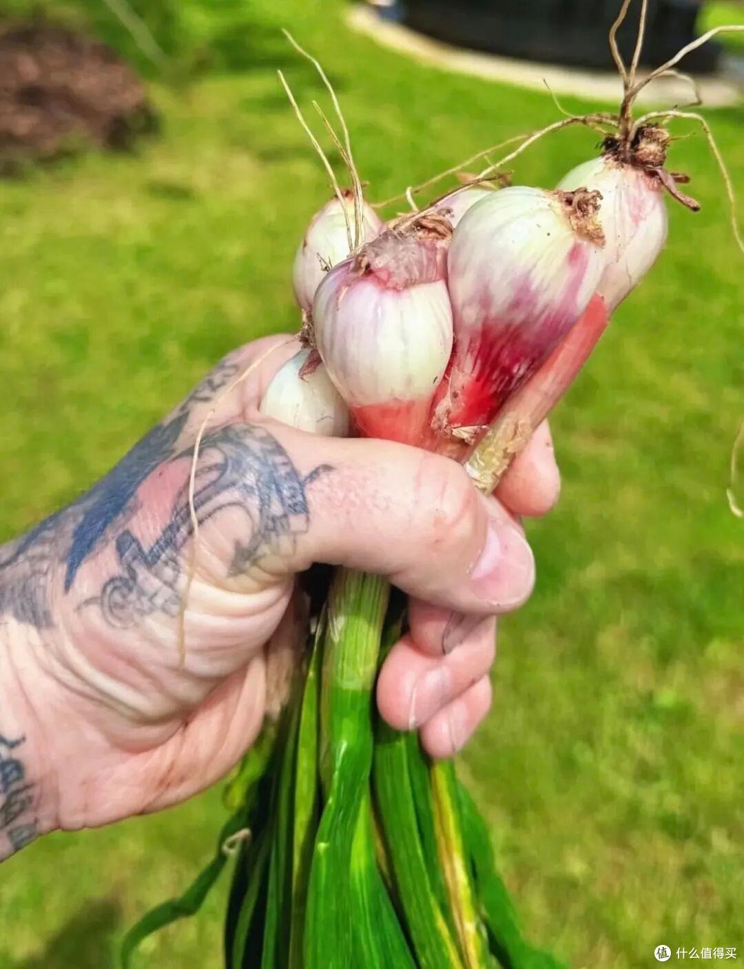 Cảnh tượng khó tin: David Beckham 