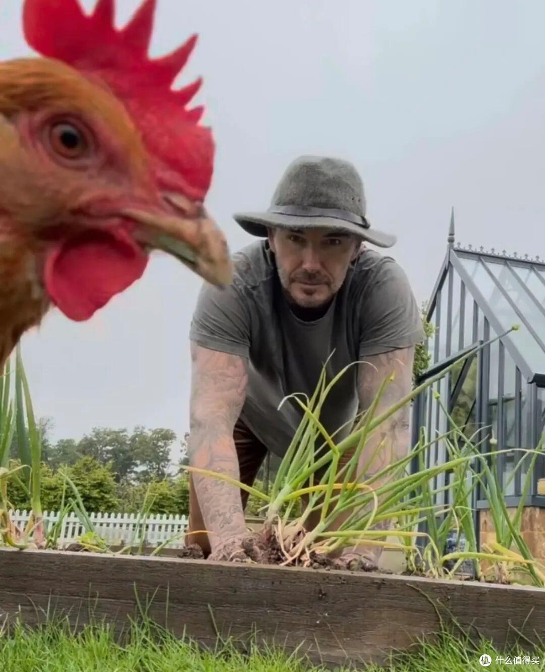 Cảnh tượng khó tin: David Beckham 