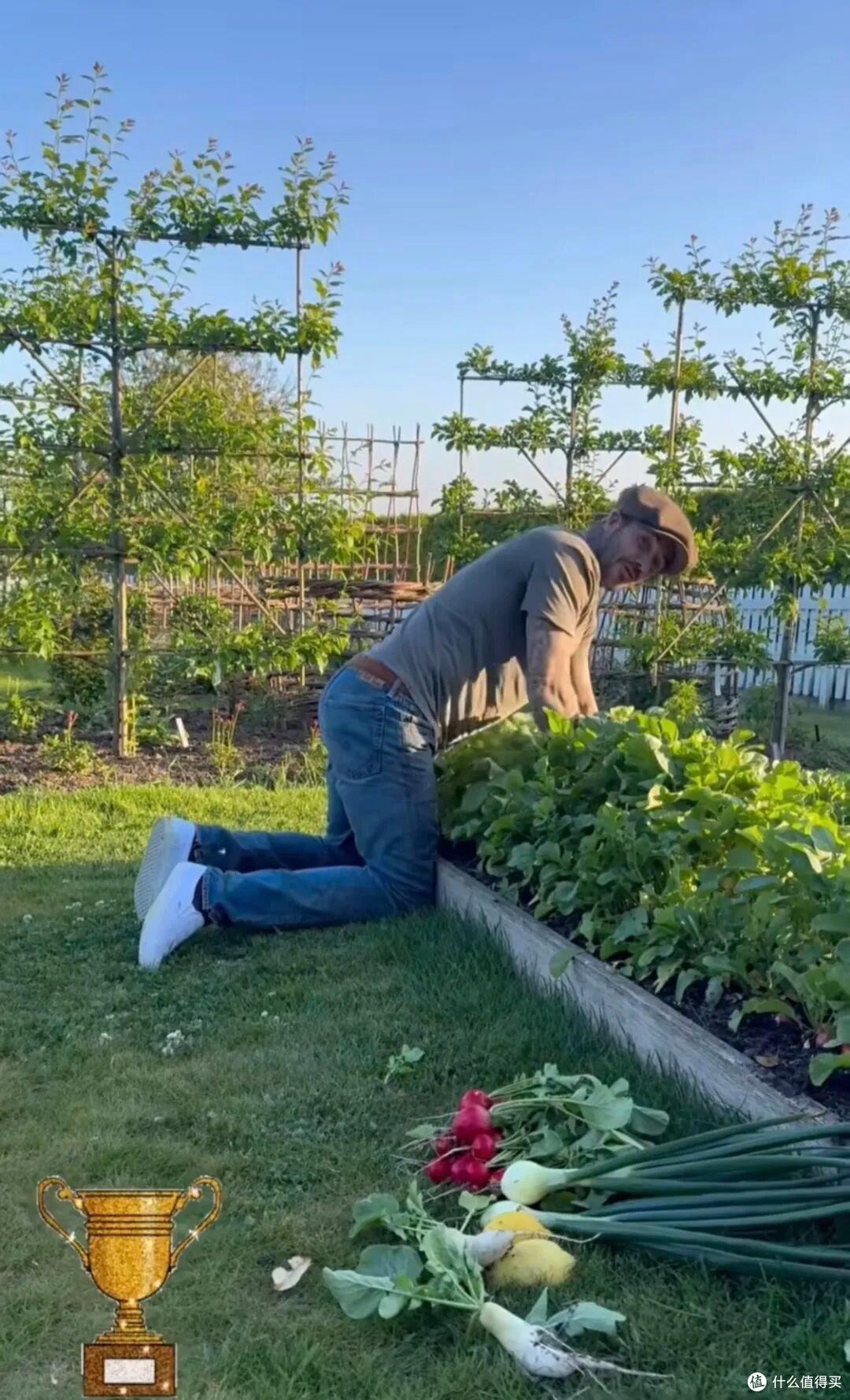 Cảnh tượng khó tin: David Beckham 