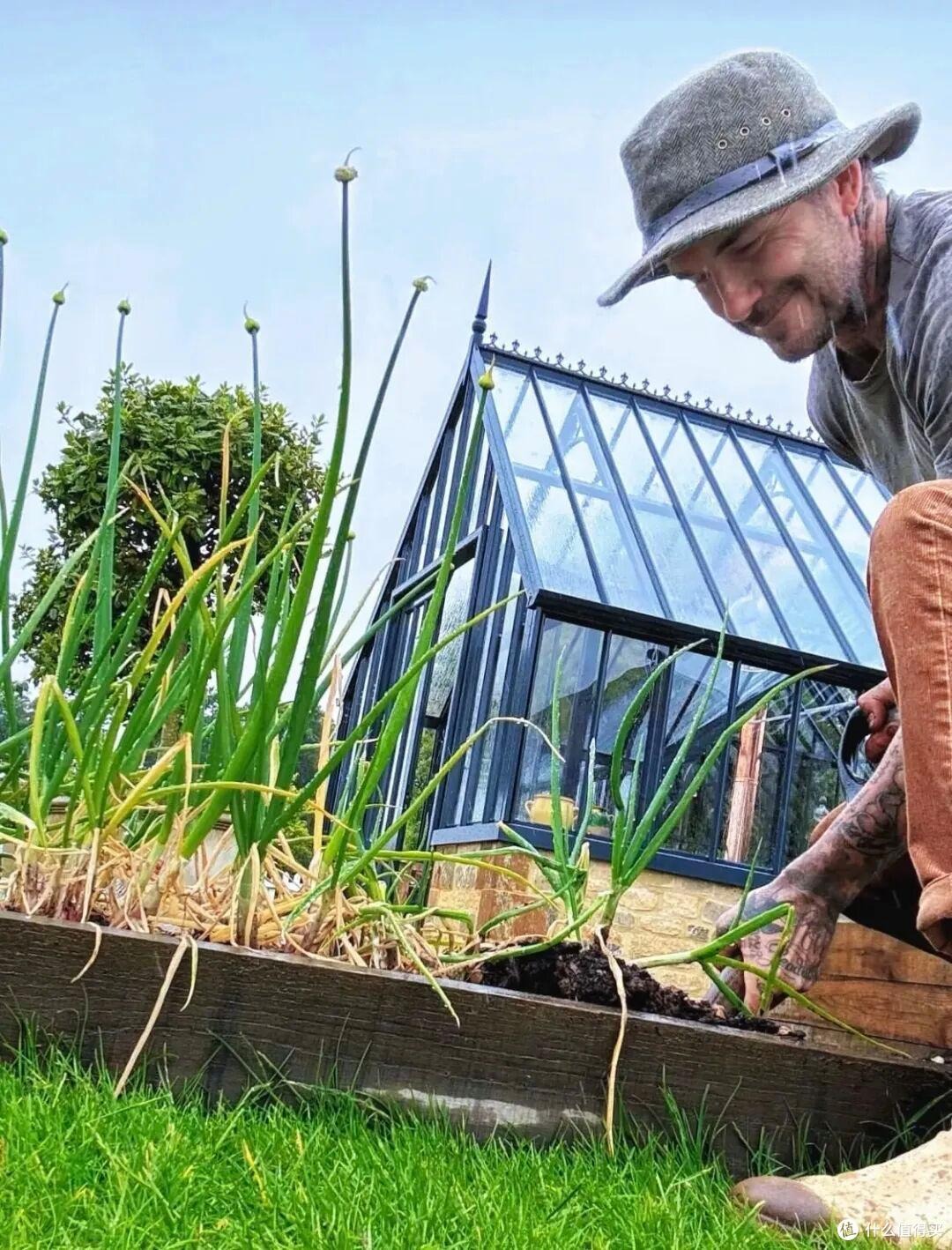 Cảnh tượng khó tin: David Beckham 