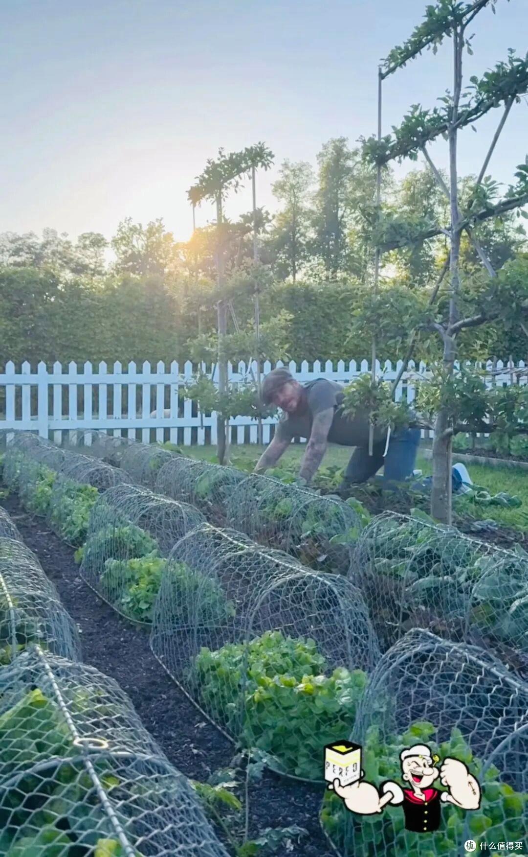 Cảnh tượng khó tin: David Beckham 