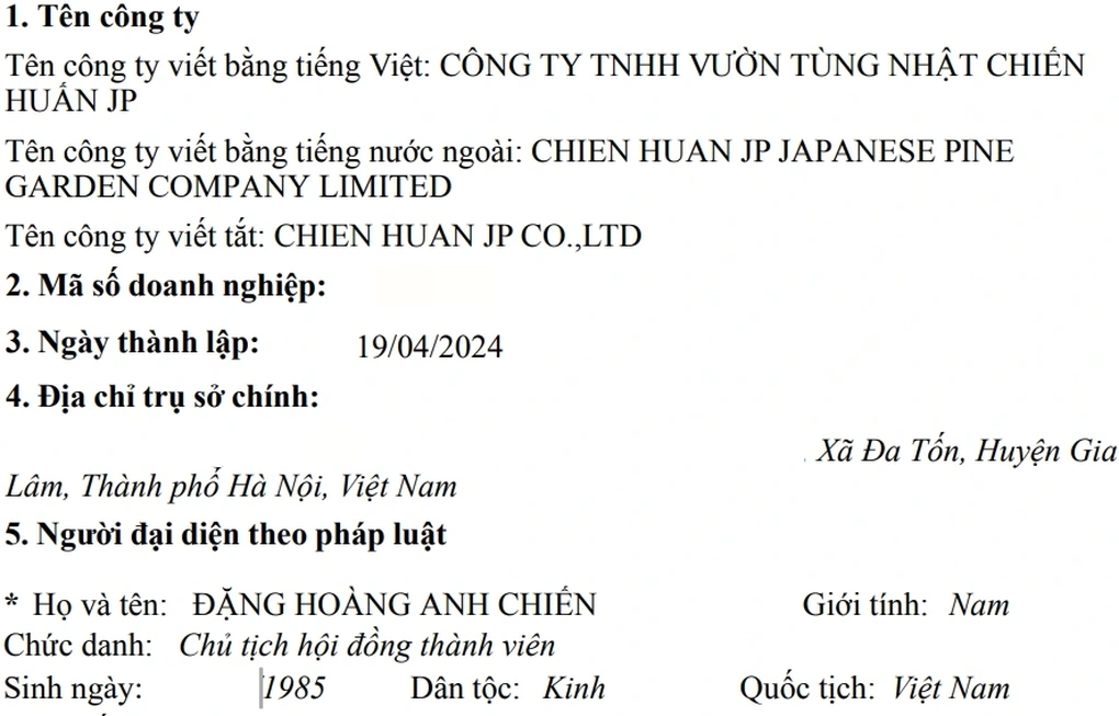 Huấn Hoa Hồng "rót" vốn vào công ty cây cảnh: Hé lộ con số thật sự phía sau- Ảnh 2. Huấn Hoa Hồng "rót" vốn vào công ty cây cảnh: Hé lộ con số thật sự phía sau- Ảnh 2.