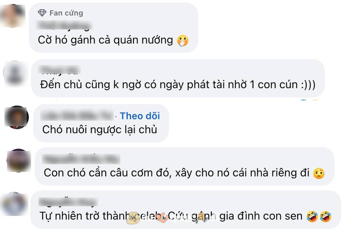 Khách xếp hàng từ sớm để gặp chú chó "nuôi được cả chủ" ở Hà Nội- Ảnh 5. Khách xếp hàng từ sớm để gặp chú chó "nuôi được cả chủ" ở Hà Nội- Ảnh 5.