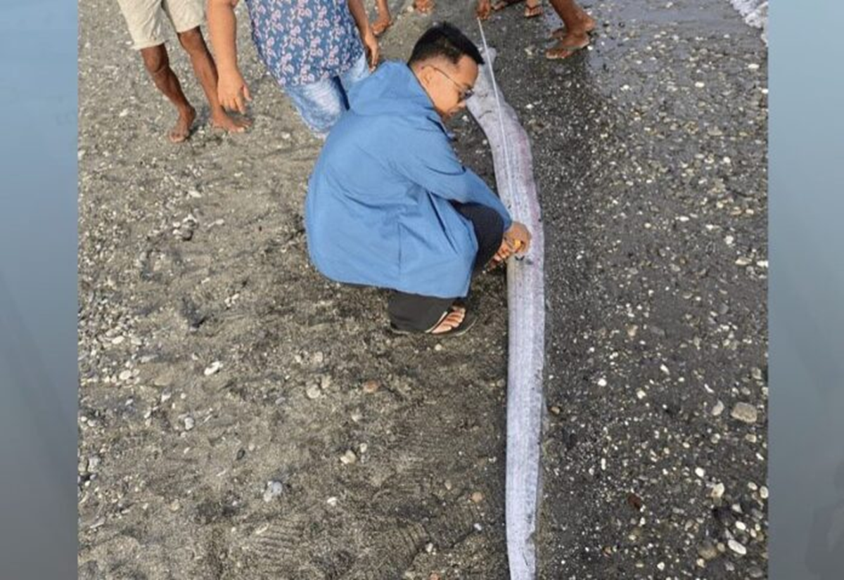 Đang đi dạo biển, người dân bỗng phát hiện cảnh tượng "nổi da gà" giữa ban ngày- Ảnh 2.