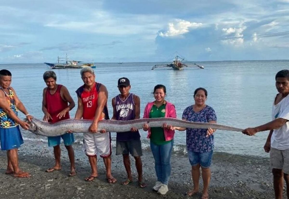 Đang đi dạo biển, người dân bỗng phát hiện cảnh tượng "nổi da gà" giữa ban ngày- Ảnh 1.