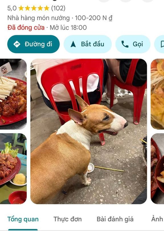 Thông báo khẩn từ chủ quán nướng Hà Nội có chú chó giống hệt “cậu Vàng” trong game Phở Anh Hai- Ảnh 11. Thông báo khẩn từ chủ quán nướng Hà Nội có chú chó giống hệt “cậu Vàng” trong game Phở Anh Hai- Ảnh 11.