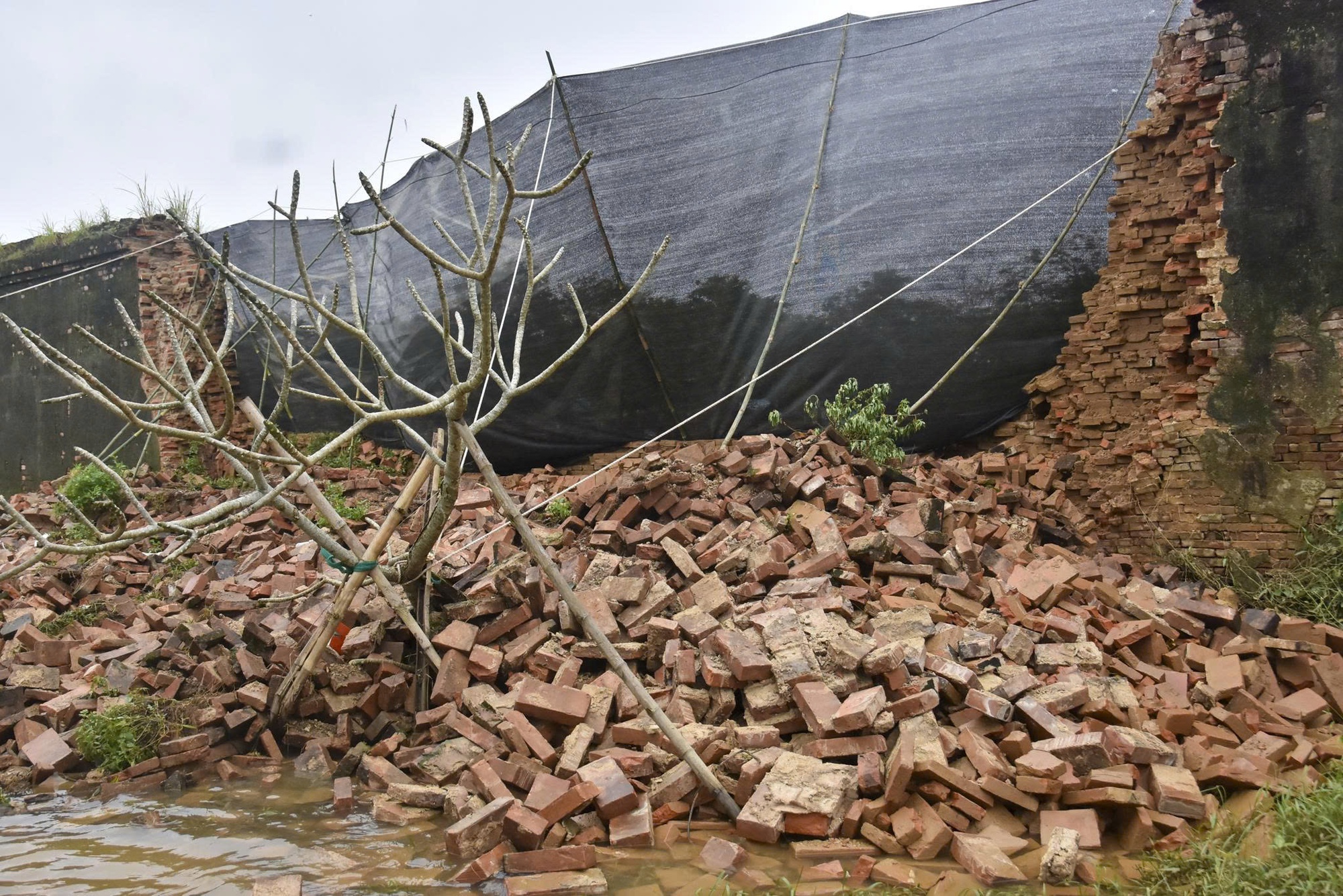 Giám đốc Trung tâm Bảo tồn Di tích Cố đô Huế tiết lộ hiện tượng trước khi tường Hoàng thành sập- Ảnh 5. Giám đốc Trung tâm Bảo tồn Di tích Cố đô Huế tiết lộ hiện tượng trước khi tường Hoàng thành sập- Ảnh 5.