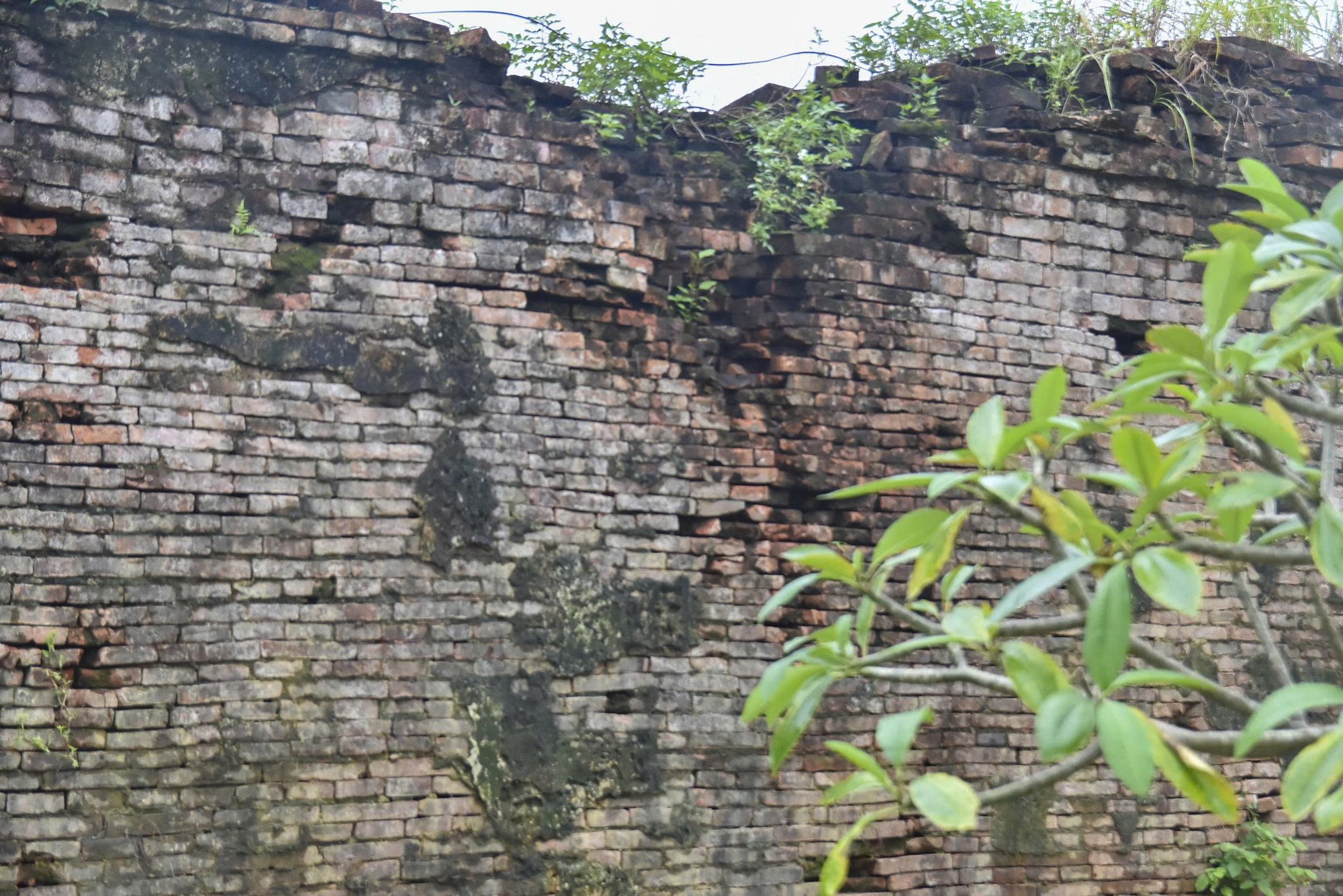 Giám đốc Trung tâm Bảo tồn Di tích Cố đô Huế tiết lộ hiện tượng trước khi tường Hoàng thành sập- Ảnh 6. Giám đốc Trung tâm Bảo tồn Di tích Cố đô Huế tiết lộ hiện tượng trước khi tường Hoàng thành sập- Ảnh 6.