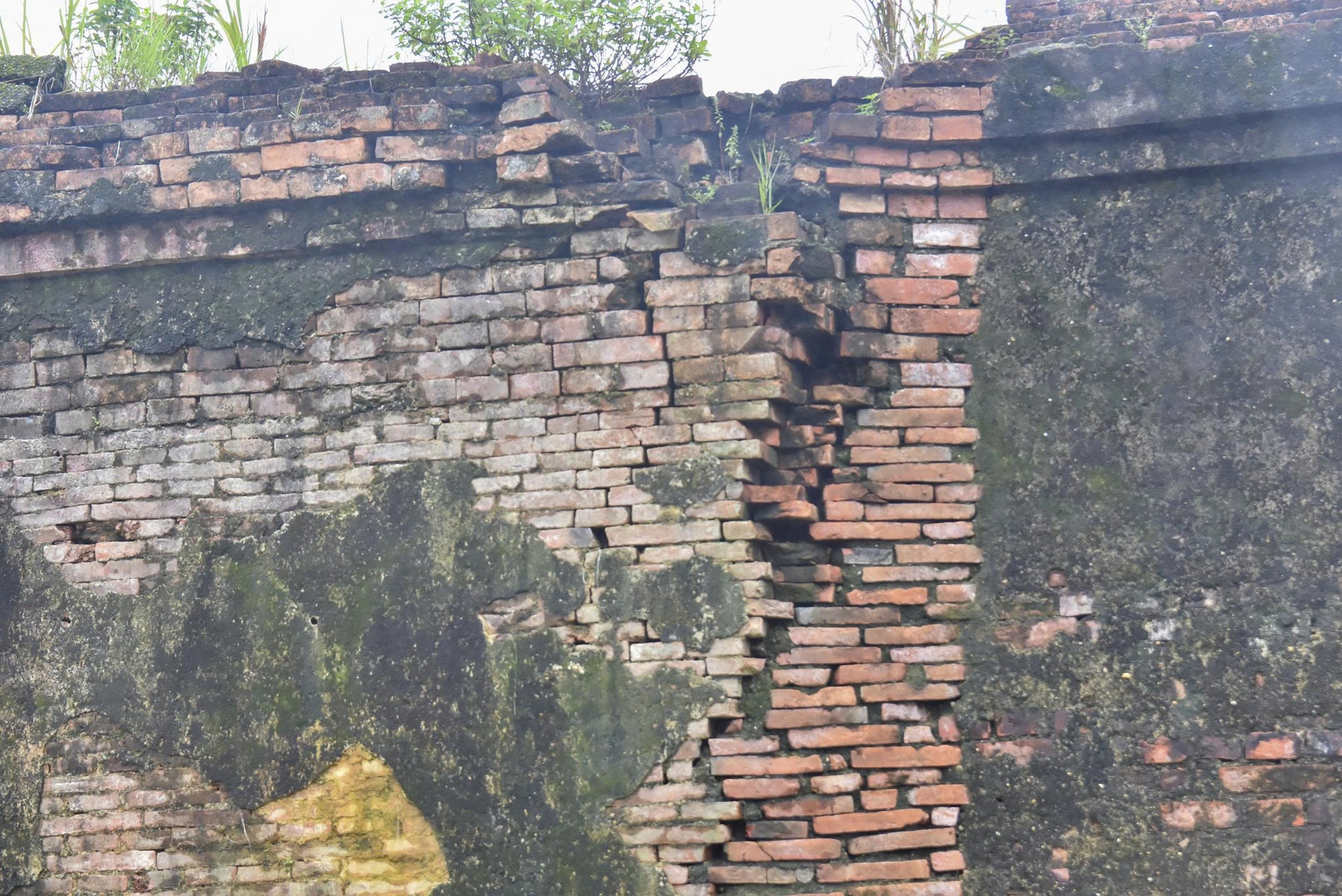 Giám đốc Trung tâm Bảo tồn Di tích Cố đô Huế tiết lộ hiện tượng trước khi tường Hoàng thành sập- Ảnh 7. Giám đốc Trung tâm Bảo tồn Di tích Cố đô Huế tiết lộ hiện tượng trước khi tường Hoàng thành sập- Ảnh 7.