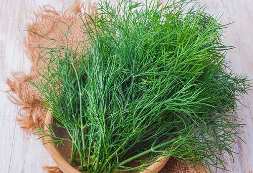 Thì là - loại rau "nhỏ nhưng có võ’ với những lợi ích sức khỏe bất ngờ- Ảnh 3.