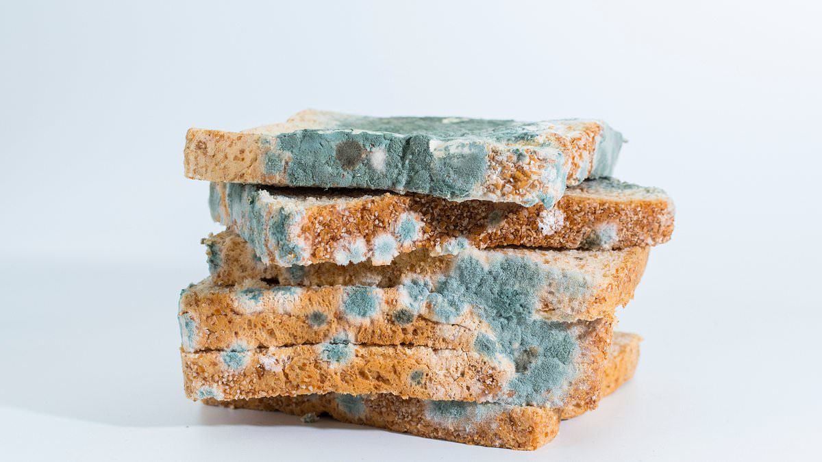 Giáo sư Mỹ tiết lộ 3 loại thực phẩm chứa độc tố, có thể gây ung thư: Nếu thấy phải vứt bỏ ngay!- Ảnh 3.