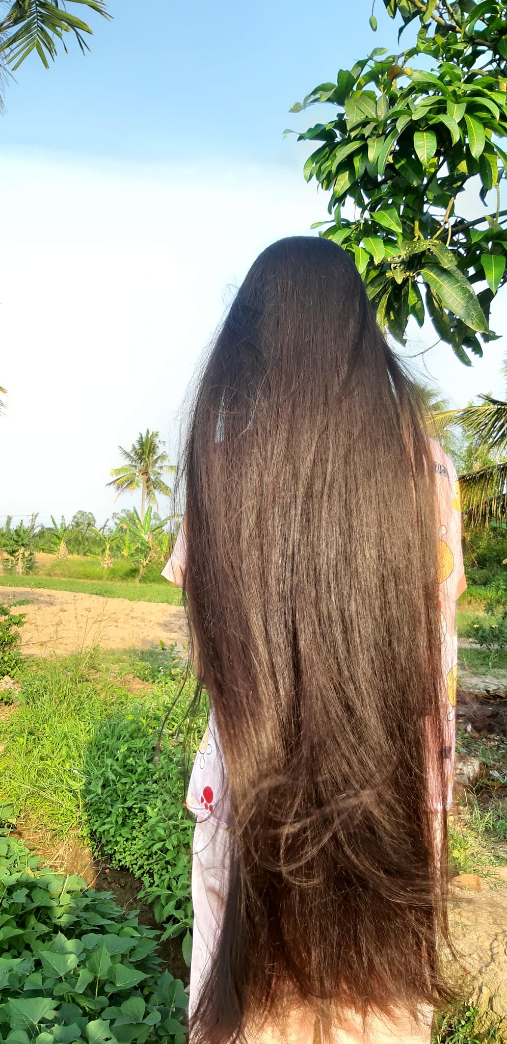 Ủ tóc 1 lần/tuần với nguyên liệu 