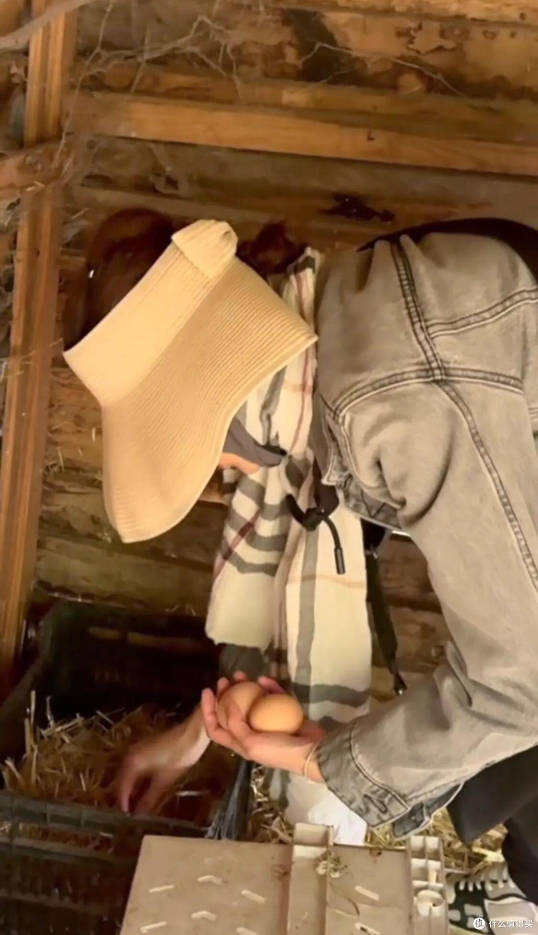 "Nữ thần châu Á" Trương Mạn Ngọc: Tuổi 61 cô độc, nuôi gà, cuốc đất qua ngày- Ảnh 6. "Nữ thần châu Á" Trương Mạn Ngọc: Tuổi 61 cô độc, nuôi gà, cuốc đất qua ngày- Ảnh 6.