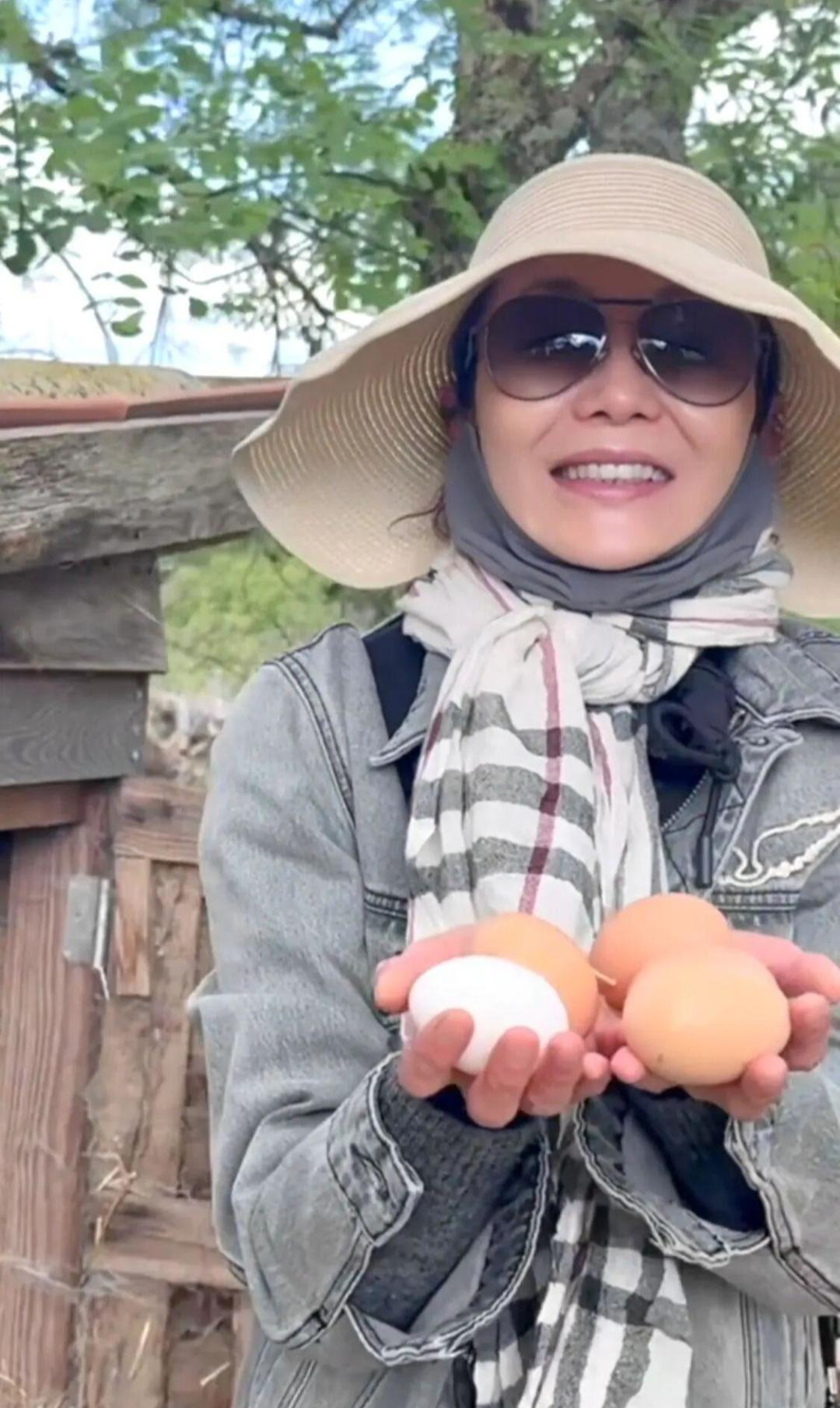 "Nữ thần châu Á" Trương Mạn Ngọc: Tuổi 61 cô độc, nuôi gà, cuốc đất qua ngày- Ảnh 4. "Nữ thần châu Á" Trương Mạn Ngọc: Tuổi 61 cô độc, nuôi gà, cuốc đất qua ngày- Ảnh 4.