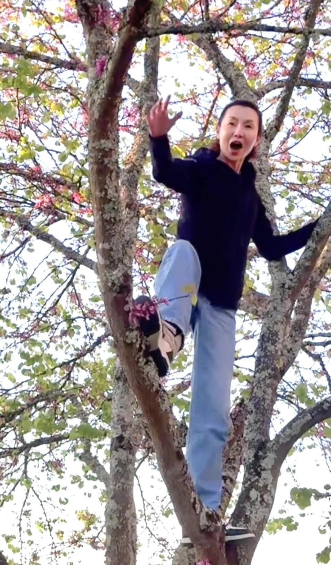 "Nữ thần châu Á" Trương Mạn Ngọc: Tuổi 61 cô độc, nuôi gà, cuốc đất qua ngày- Ảnh 11. "Nữ thần châu Á" Trương Mạn Ngọc: Tuổi 61 cô độc, nuôi gà, cuốc đất qua ngày- Ảnh 11.