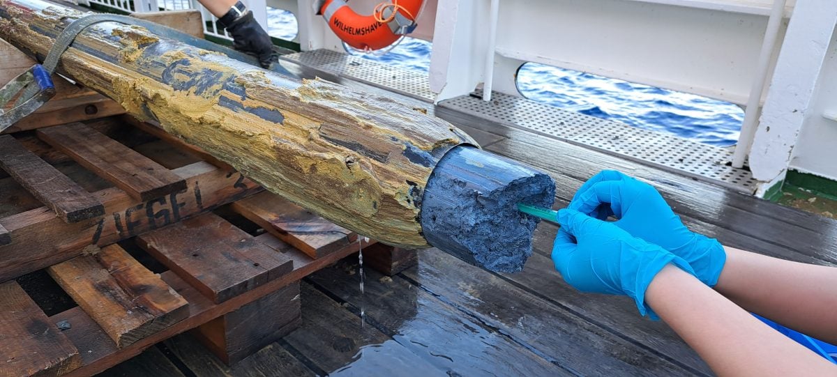 Phát hiện sự sống kỳ lạ ở "tử địa" của Trái Đất- Ảnh 1. Phát hiện sự sống kỳ lạ ở "tử địa" của Trái Đất- Ảnh 1.