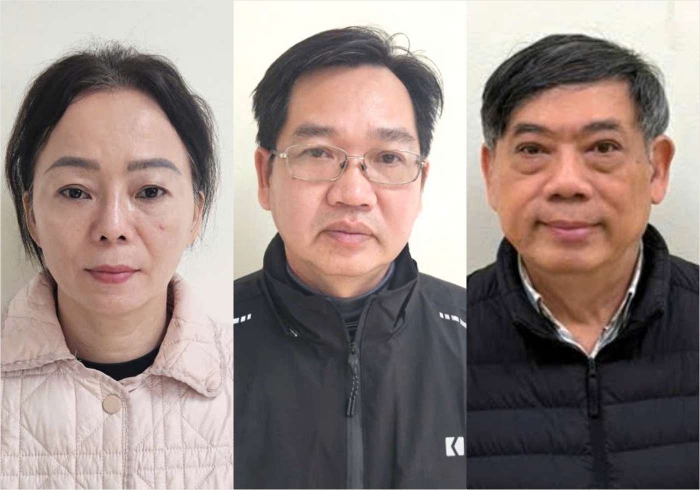 Khởi tố chủ tịch HĐTV Hoàng Bá Nghị và 9 giám đốc- Ảnh 4.