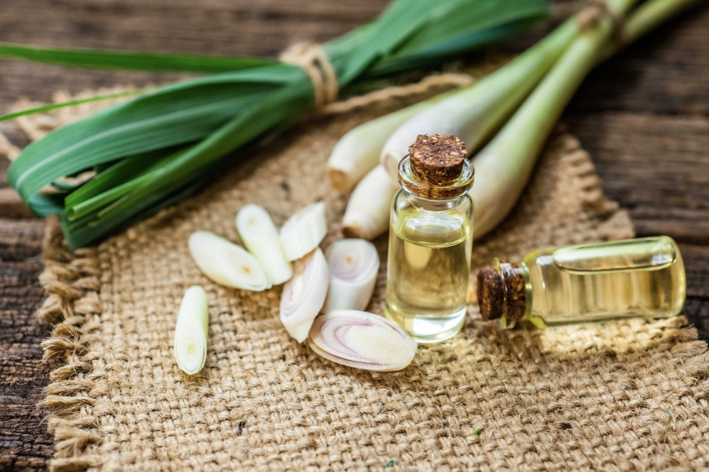 5 thứ khiến rắn sợ hãi- Ảnh 2.