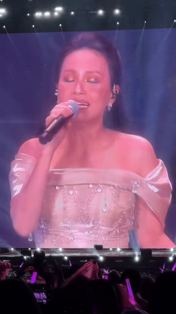 Lo cho giọng hát của Cẩm Ly- Ảnh 1.