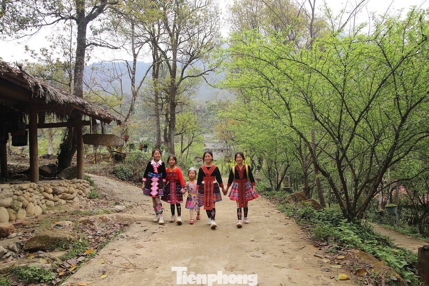 Tour du lịch tăng mạnh, vé máy bay, tàu xe Tết có căng thẳng?- Ảnh 3.