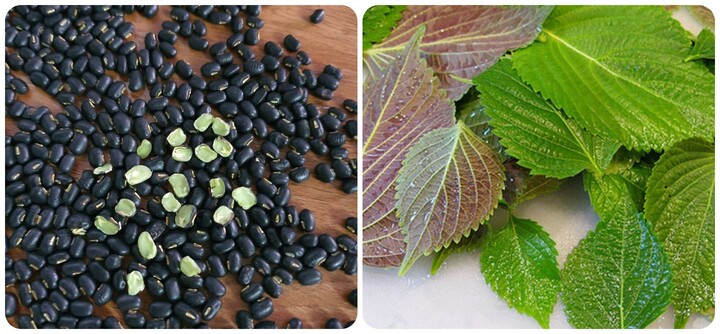 Uống nước tía tô đậu đen có tác dụng gì?- Ảnh 1.