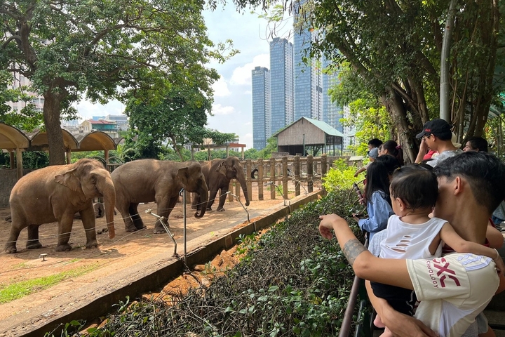 Thảo Cầm Viên Sài Gòn bỏ túi 450 triệu đồng/ngày- Ảnh 1.