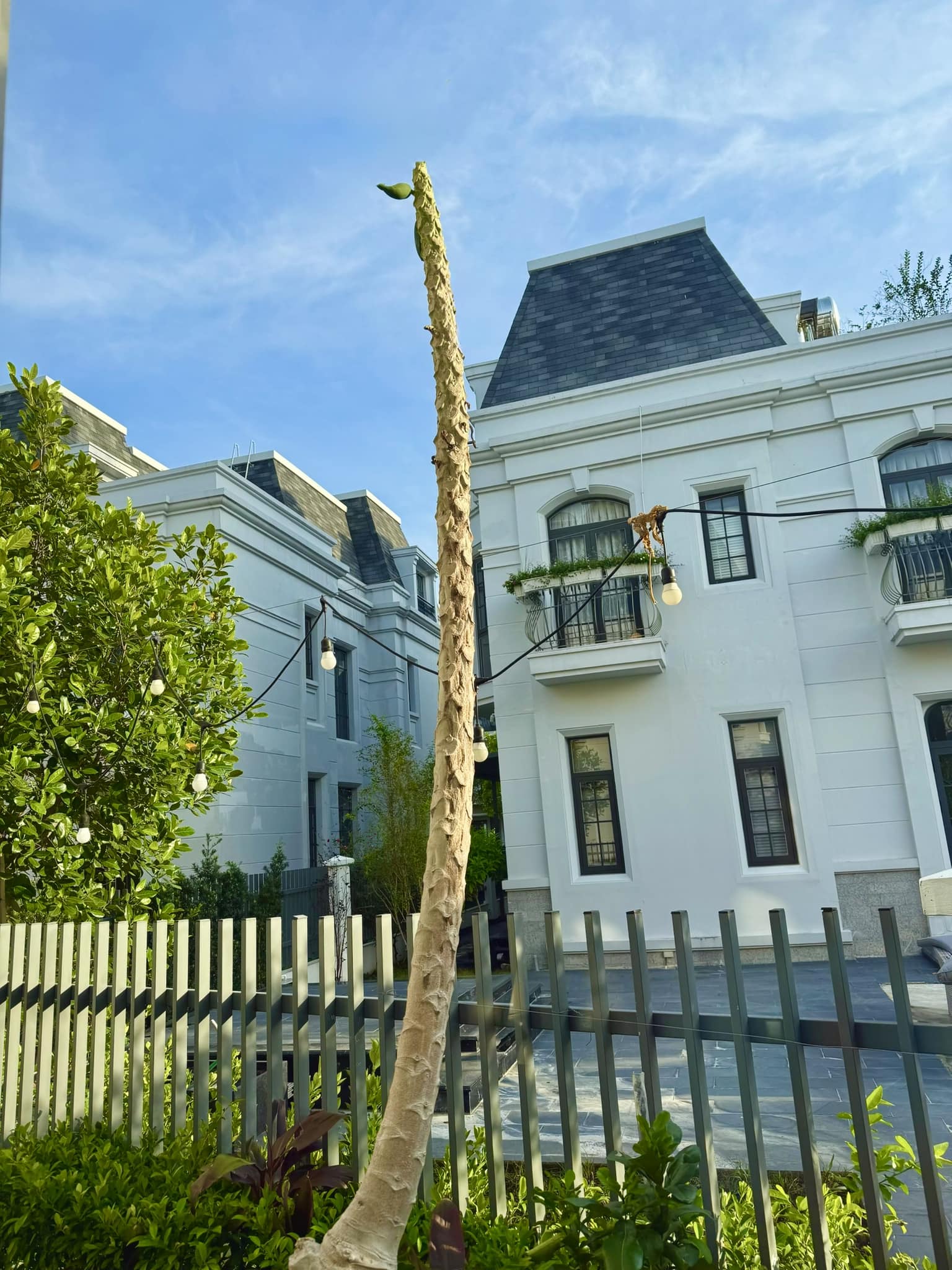 Bữa cơm Đoàn Di Băng làm cho Nguyễn Quốc Vũ- Ảnh 7. Bữa cơm Đoàn Di Băng làm cho Nguyễn Quốc Vũ- Ảnh 7.