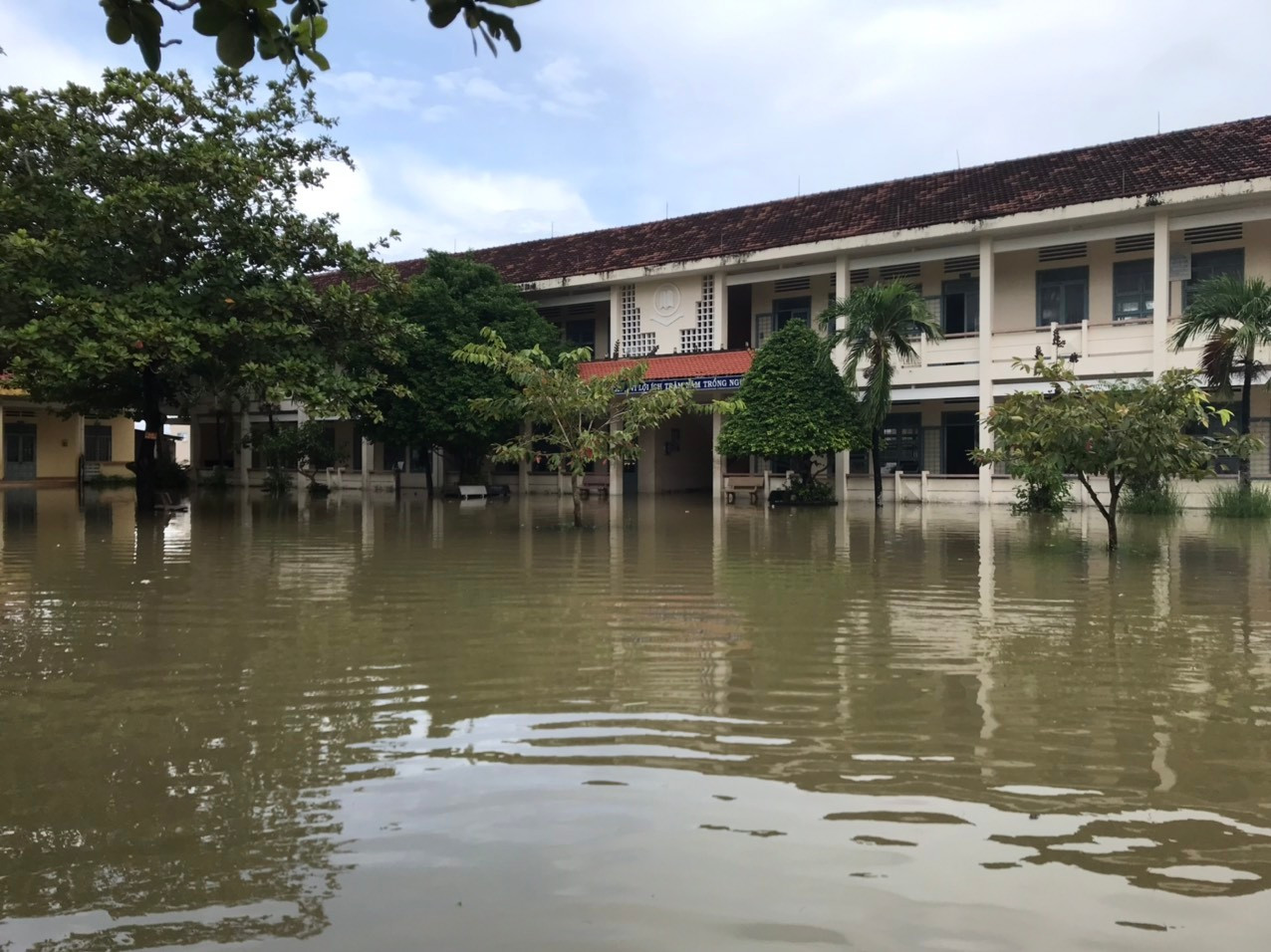 Gia Lai chỉ đạo khẩn chống bão, cho học sinh khu vực phía Đông nghỉ học- Ảnh 1.