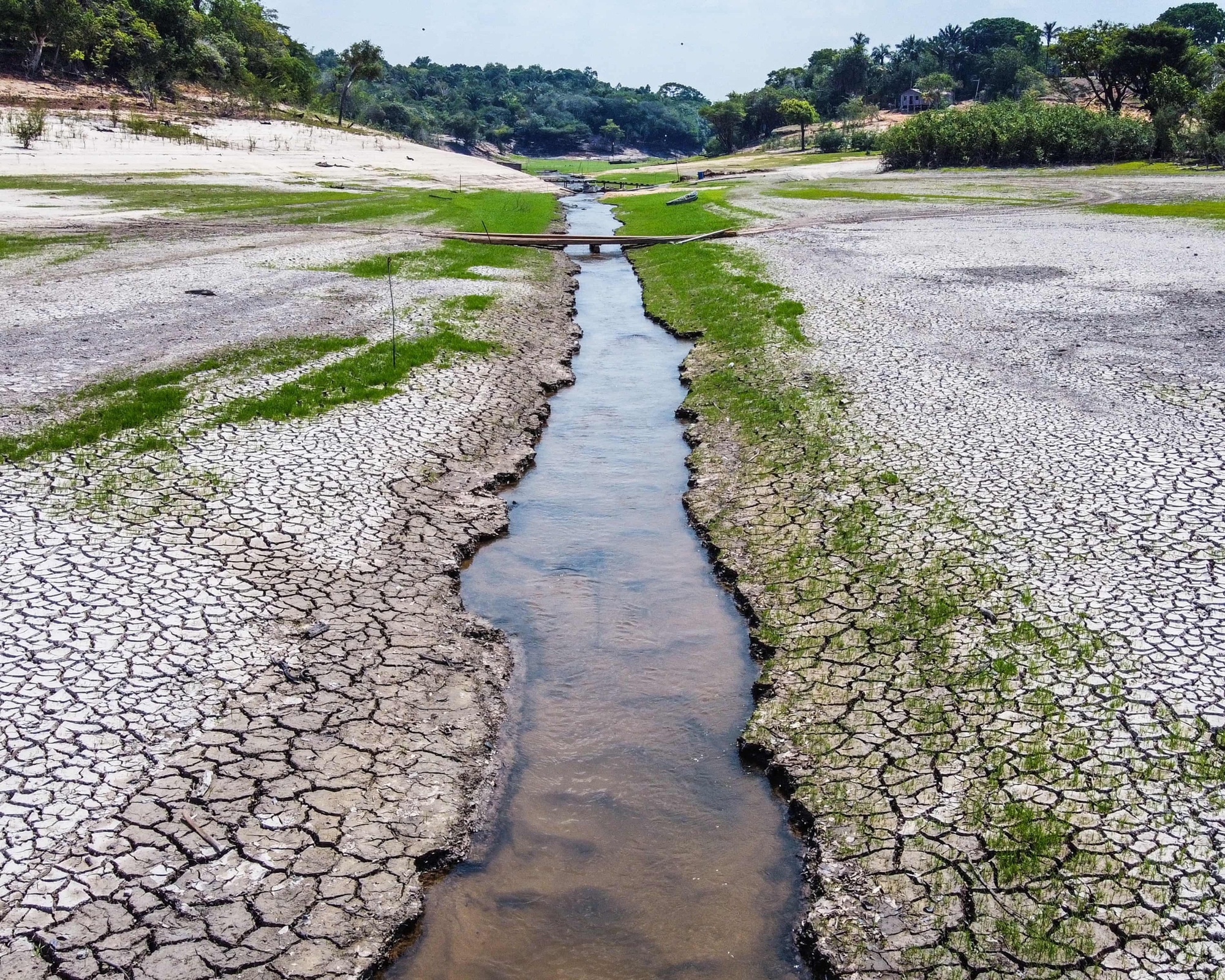 Trái đất vẫn còn cơ hội- Ảnh 3.
