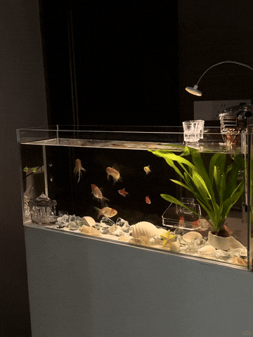 Chỉ có thiên tài mới có thể nghĩ ra 7 thiết kế tuyệt vời này- Ảnh 6. Chỉ có thiên tài mới có thể nghĩ ra 7 thiết kế tuyệt vời này- Ảnh 6.