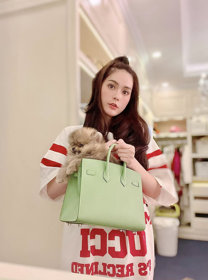 BST túi hàng hiệu của Đoàn Di Băng: Hermès đựng cún cưng, Dior và Chanel để đi chợ- Ảnh 16. BST túi hàng hiệu của Đoàn Di Băng: Hermès đựng cún cưng, Dior và Chanel để đi chợ- Ảnh 16.