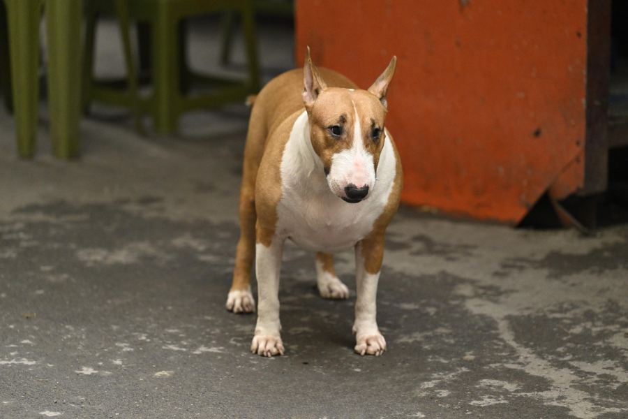 Ngừng quay phim, chụp ảnh “cậu Vàng Mr. Gold” ngoài đời- Ảnh 5. Ngừng quay phim, chụp ảnh “cậu Vàng Mr. Gold” ngoài đời- Ảnh 5.